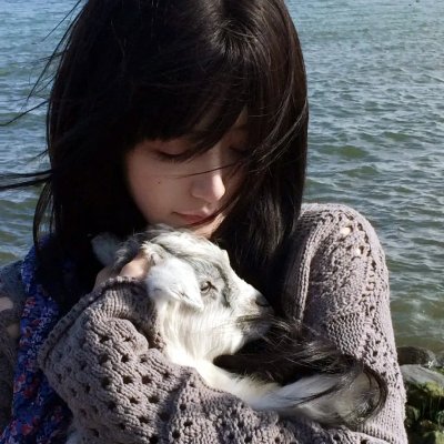 汤姆猫与杰利鼠