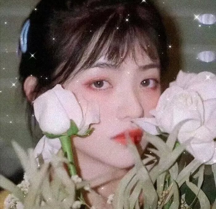 精品剧集